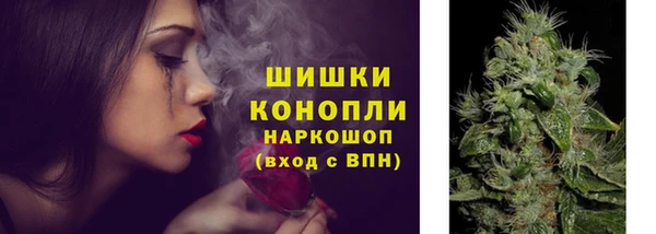 соль ск Няндома