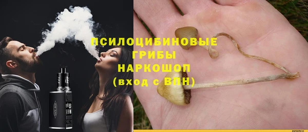 тгк Гатчина