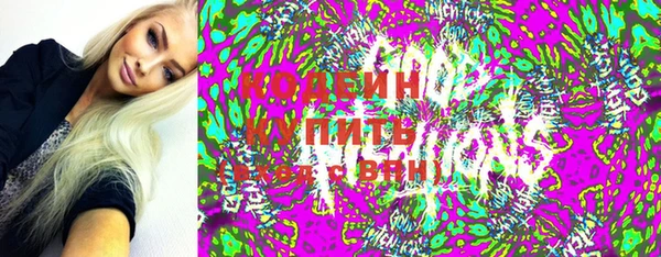 соль ск Няндома