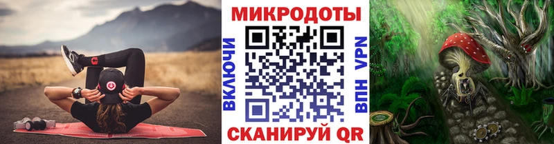 kraken как зайти  Порхов  Галлюциногенные грибы GOLDEN TEACHER 